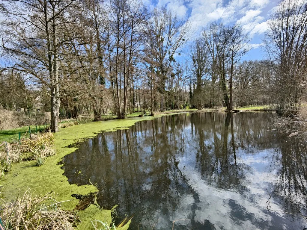 Notre étang